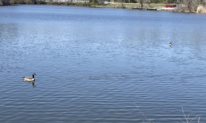 Carbondale RV Rental | Eclipse Campsites Available. Waterfront views
