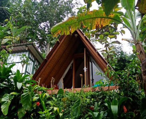 Candikuning Bed & Breakfast | ECO Bedugul adventurer camp