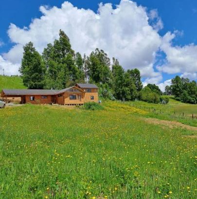 Araucania Region House | Eco Brújula II