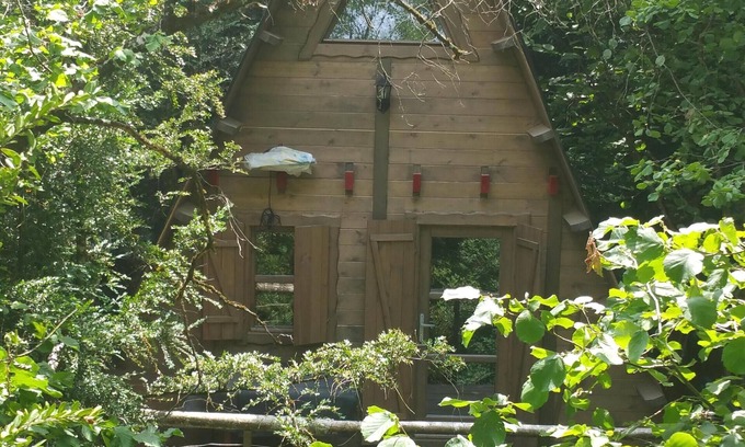 Saint-Sauveur-sur-Tinee Ski Chalet | Eco cottage in the mountains 1h from Nice