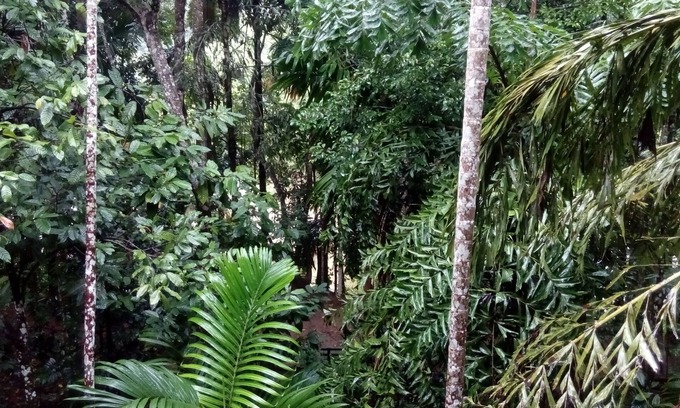 Embilipitiya House | ECO FOREST VILLA - A HOMESTAY FAMILY HOUSE WITH NATURE BEAUTIES
