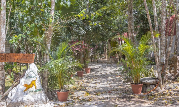 Leona Vicario House | Eco-friendly dome amidst the beautiful jungle, with modern amenities and pool!