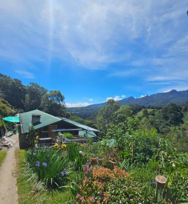 Los Naranjos Bed & Breakfast | Eco Horqueta