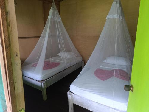 Yavari Hotel | Eco hotel Irapay