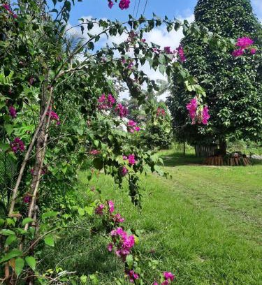 Castanhal Hotel | Eco Hotel Mãe De Sagui