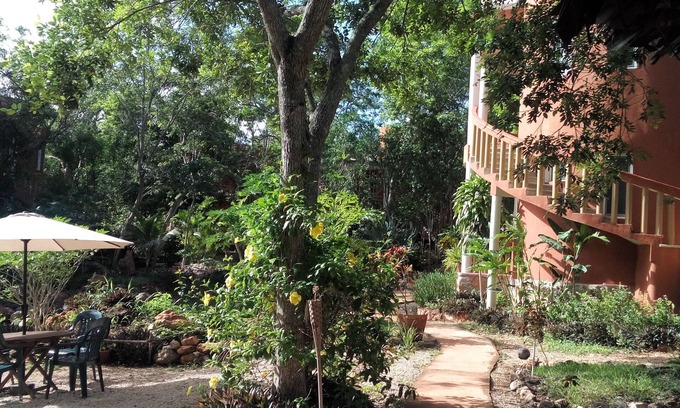 Santa Elena Bed & Breakfast | Eco-Hotel Nueva Altia