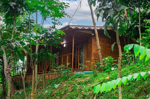 Monte Cafe Cabin | ECO-POR