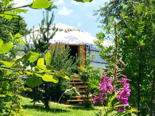 Saint-Antheme Other | Eco Yourte Les Airelles