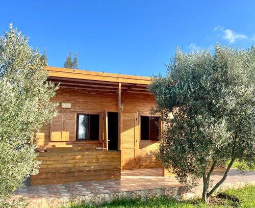 Fdalate Ski Chalet | Ecolodge Vert, Benslimane