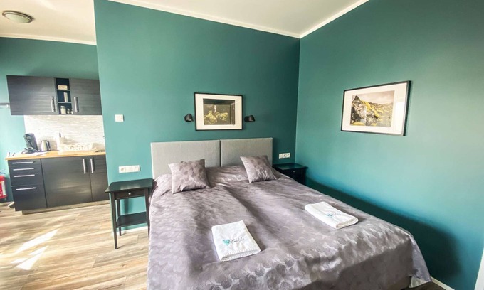 Eyrarbakki Apartment | Economy Studio Apartment