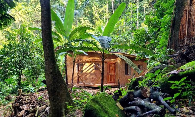 Mammee Bay Cottage | Ecoscape Jamaica Tulia - 1 Bedroom Private Cottage with King Bed