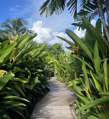Sainte-Luce Cabin | Eden Paradise Ecolodge & Spa