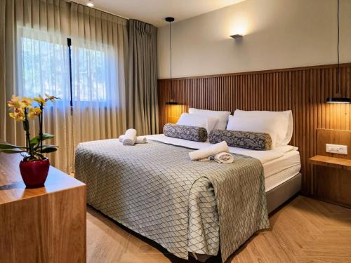 Ein Zivan Resort | Ein Zivan Village Resort