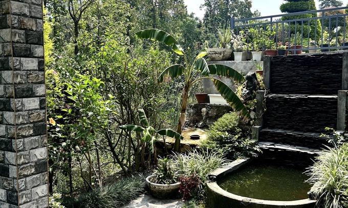 Bullawala Bed & Breakfast | Ekantam Resort