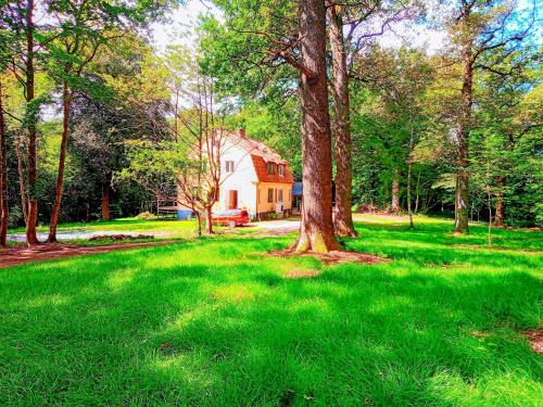 Svalov Bed & Breakfast | Ekebo Guesthouse