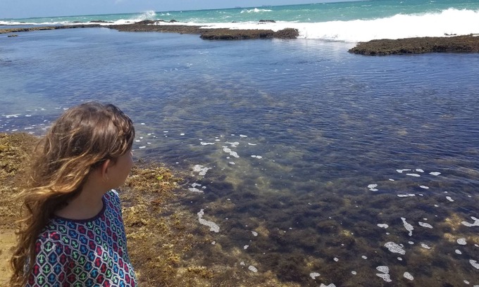 Porto de Galinhas Resort | Ekoara Residence - Luxury Flat Muro Alto, best stretch of Muro Alto beach