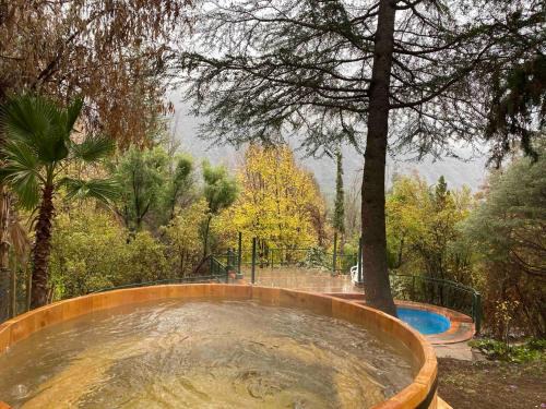 Melocoton Cabin | El Arroyo Apart Hotel