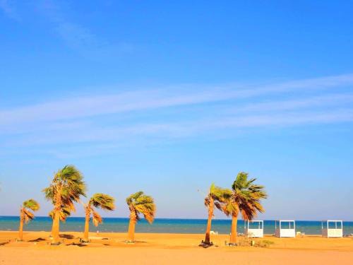 El Gouna Apartment | El-Gouna