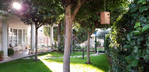 Tordesillas House | El olivo