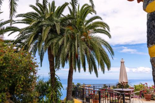 Tijarafe House | El Palmeral