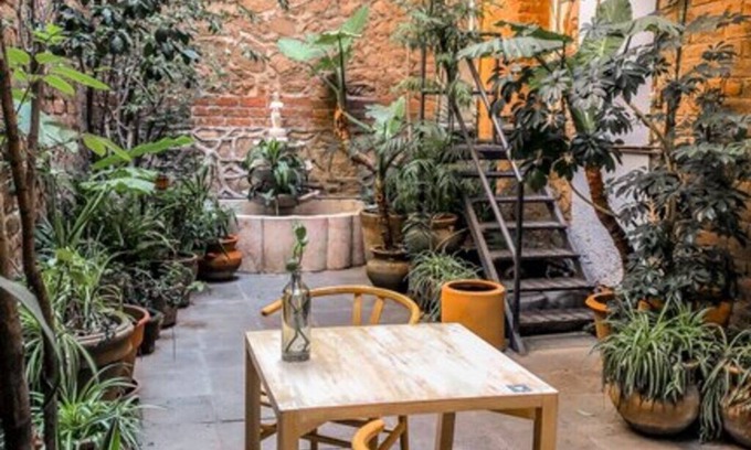 Cuauhtemoc Bed & Breakfast | El Patio 77