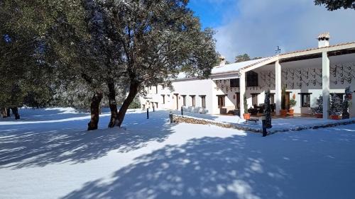 Las Nogueras House | El Pinar de la Lobera