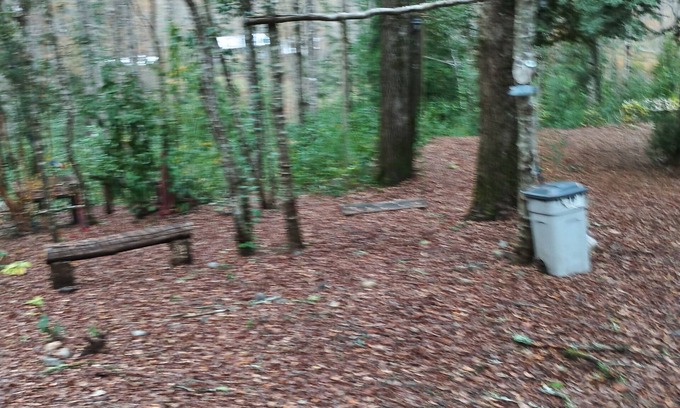 Pucon Cabin | El roble cabins
