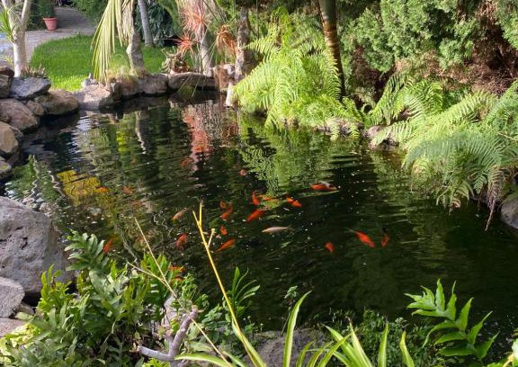 Tijarafe House | El Time