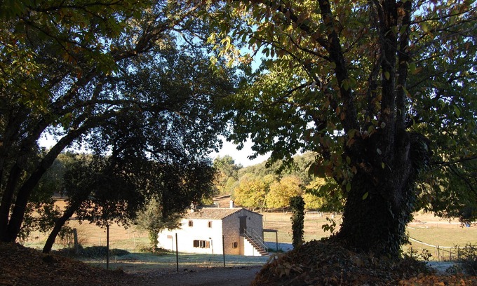 Fuenteheridos Cottage | "El Zurrador" farm, agricultural, livestock and forestry farm with Rural Accommodation.