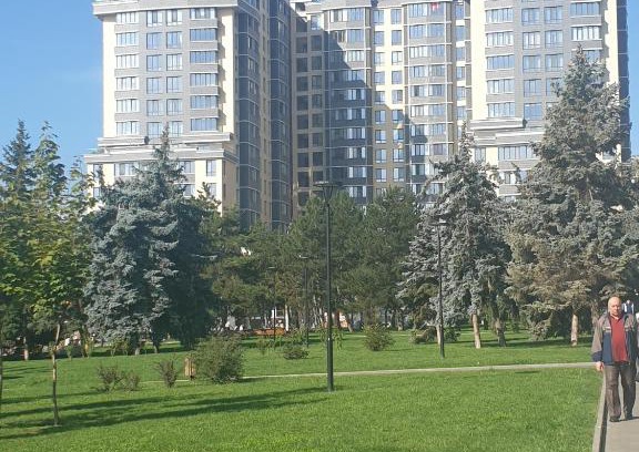 Riscani Apartment | Elegance 1BD apartment with living room
