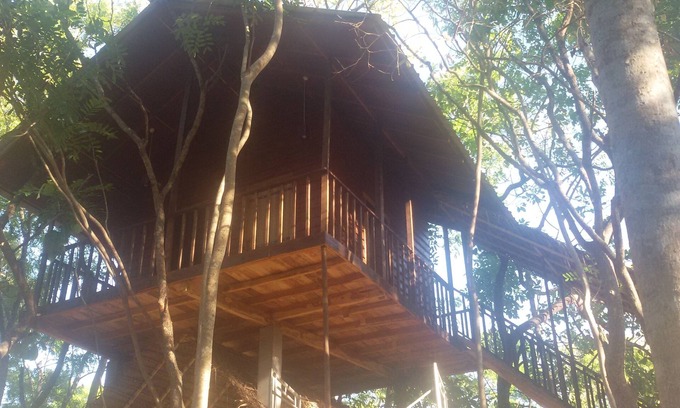 Buttala Other | Elephant corridori camping