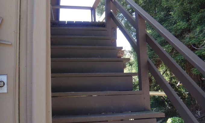 Eureka House | Elevated guest house : observe wildlife & near Zoo too!