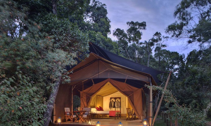 Maasai Mara Other | Elewana Elephant Pepper Camp