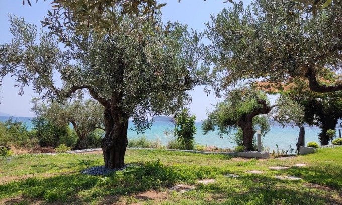 Palaio Tsifliki Apartment | elia by the sea