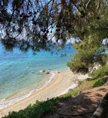Elia Apartment | Elia Sithonia Apartment