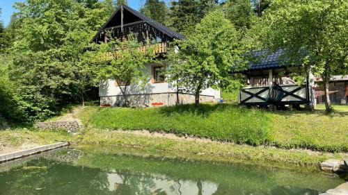 Mykulychyn House | Elizabeth