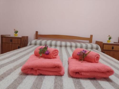 San Clemente Hotel | Eluney Hotel