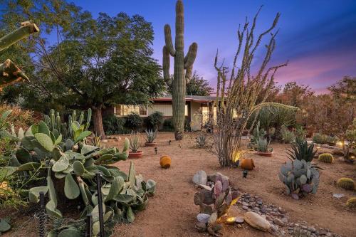 Yucca Valley House | Ember Stone