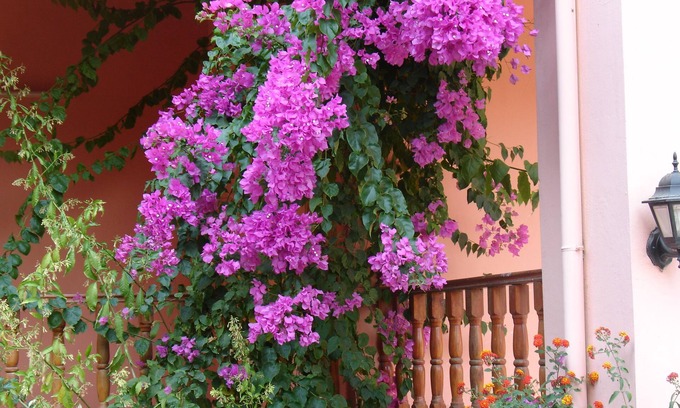 Guzelcamli House | Emel Pension