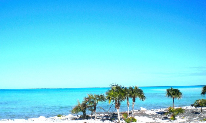 Bottle Creek House | Emerald Estate - Secluded Luxurious Beachfront Villa Whitby