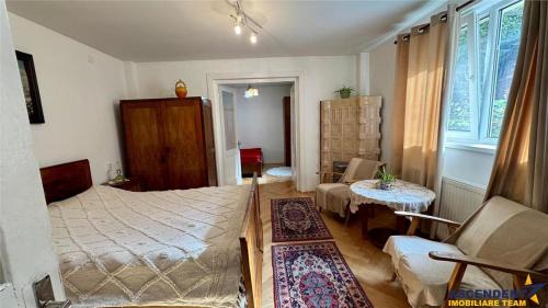 Tirgu Mures Apartment | Emese Central Vintage Apartment