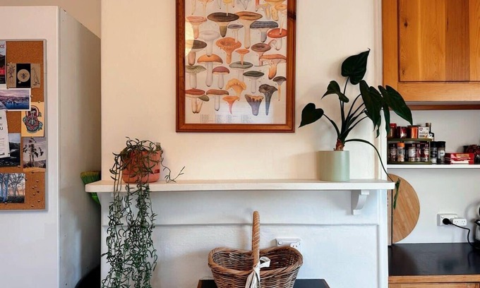 South Hobart House | Enchanting Vintage House at South Hobart