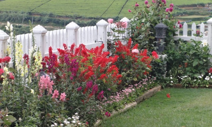 Nuwara Eliya House | Endeavour Hills Holiday bungalow consists of six private rooms.