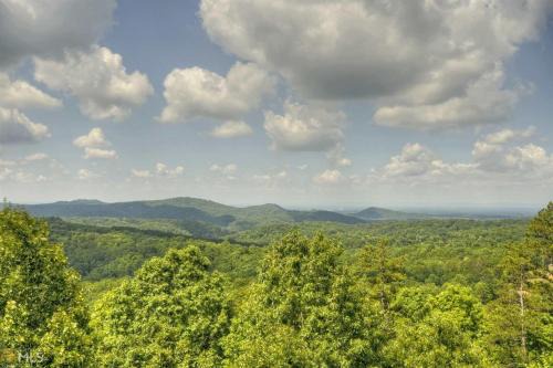 Ellijay House | Endless View