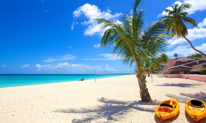Hastings House | Enjoy Beautiful Ocean View! 4 Spacious Units w/Balcony! Close to Dover Beach!