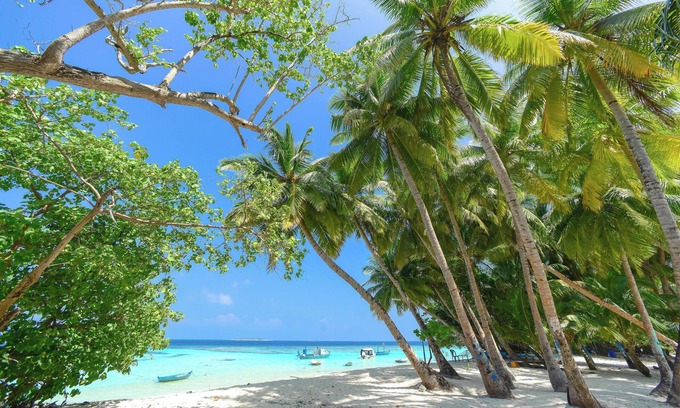 Capitola House | Enjoy dependable value by the beautiful Pacific !