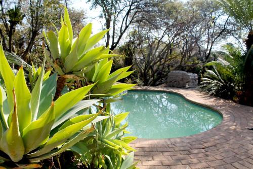 Kareeberg House | Enso Botanico 41 inside the Dinokeng Big 5 Game Reserve