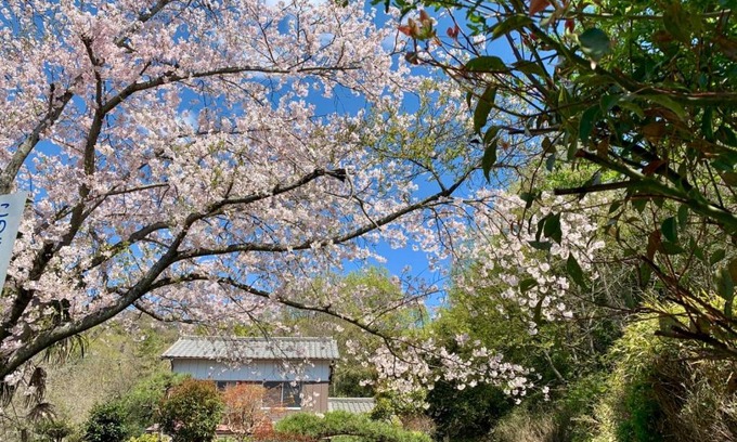 Tamano Cabin | Ensoh