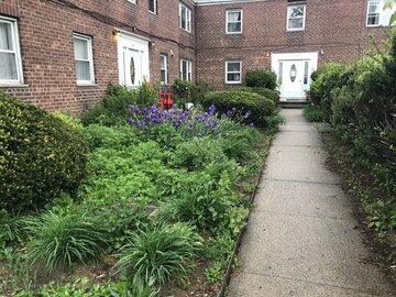 Queens House | Entire 3 bedrooms+Parking 公寓独立3卧室浴室和厨房+停车场近法拉盛花园独立
