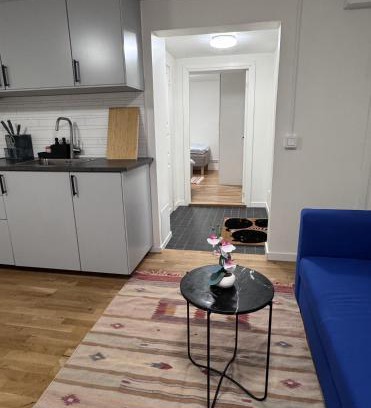 Umea Apartment | Entire Apartment 50 sqm Modern & Free Parking